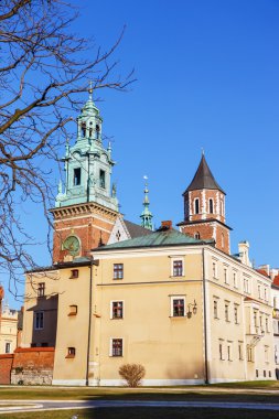 Wawel Kalesi ve Katedrali, Krakow, Polonya
