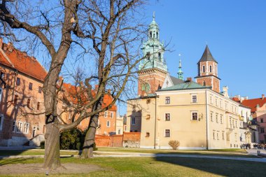 Krakow, Polonya - 31 Aralık 2015: Wawel Kalesi ve Katedrali, Krakow, Polonya
