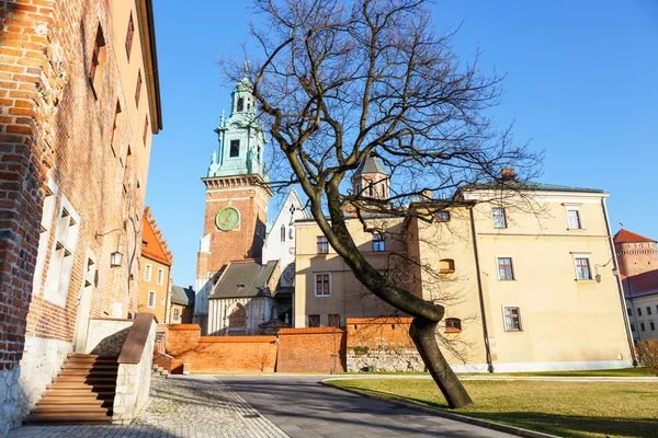 Burg und Kathedrale in Krakau, Polen — Stockfoto