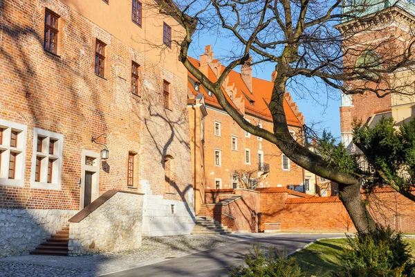 Wawel castle and cathedral in Krakow, Poland — Stock Photo, Image