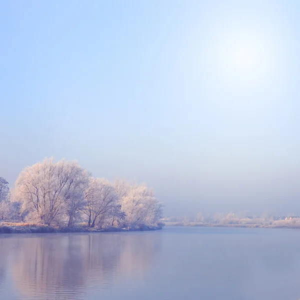 Neve árvores cobertas, paisagem de inverno — Fotografia de Stock