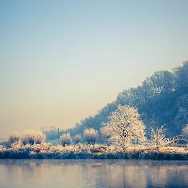 Árboles cubiertos de nieve, paisaje invernal —  Fotos de Stock