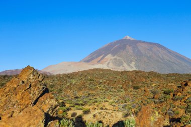İspanya, Kanarya Adaları, Tenerife 'deki Volkan El Teide manzarası 