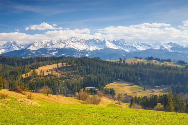 Panorama of the High Tatra Mountains, Gliczarow, Poland — Stock Photo, Image