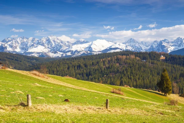 Panorama der hohen Tatra, Gliczarow, Polen — Stockfoto