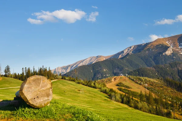 Weergave van de Belianske Tatra gebergte, Slowakije — Stockfoto