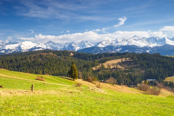Panorama de las altas montañas Tatra, Gliczarow, Polonia —  Fotos de Stock