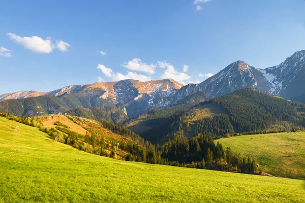 Weergave van de Belianske Tatra gebergte, Slowakije — Stockfoto