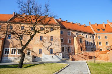 Wawel Kalesi ve Katedrali, Krakow, Polonya