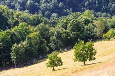 Romanya Apuseni Dağları'nın peyzaj