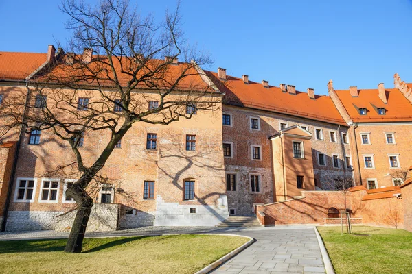 Castillo y catedral de Wawel en Cracovia, Polonia —  Fotos de Stock