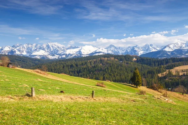 Panorama of the High Tatra Mountains, Gliczarow, Poland — Stock Photo, Image