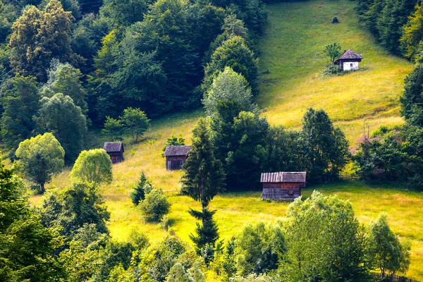 Paysage des montagnes Apuseni en Roumanie — Photo