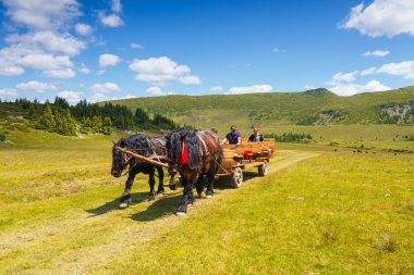 Rodna Mountains, Romania, 05 JULY 2015: Group of tourists riding a horse cart in the Rodna Mountains, Romania clipart