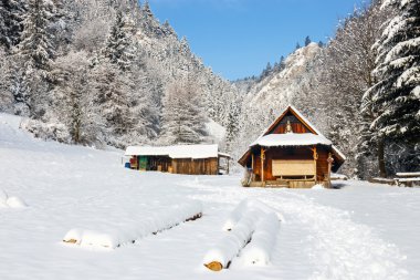 Kış manzarası Pieniny dağlar, Polonya