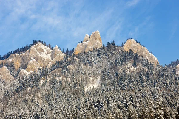 Kış manzarası Pieniny dağlar, Polonya — Stok fotoğraf