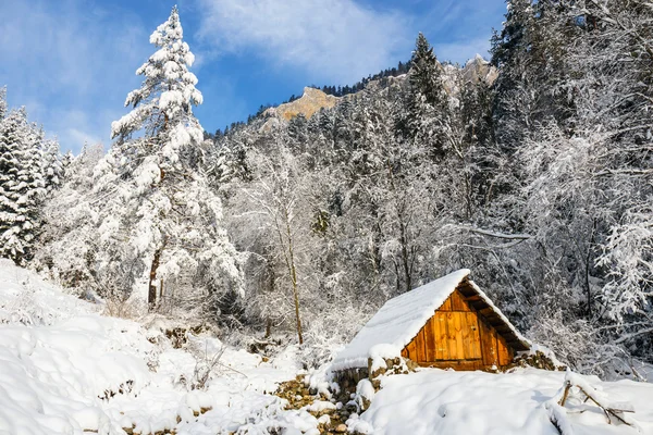 Paysage hivernal dans les montagnes du Pieniny, Pologne — Photo