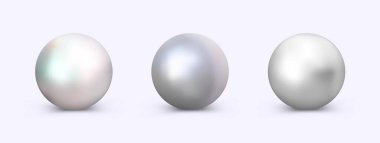 Logo veya dekorasyonda kullanılacak inci vektör ayarlandı. Vektör gerçekçiliği ortamı.