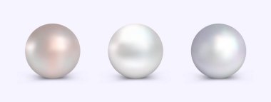 İnci seti logo ve amblemde ya da dekorasyon tasarımında kullanılabilir. Vektör gerçekçi klipsleme. Zarif inci koleksiyonu.