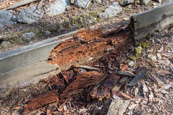 Çürümüş eski bir ağaç parçalara ayrıldı.