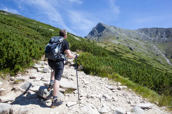 Hombre deportivo en la montaña trek —  Fotos de Stock