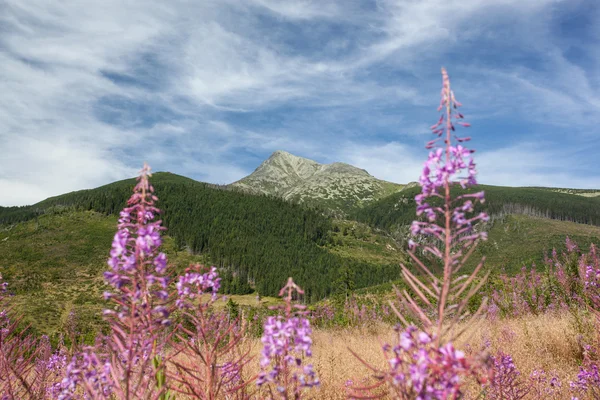 Hohe Berge - Krivan, hohe Tatra Stockbild