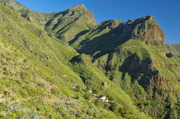 Masca Dorf auf Teneriffa, Kanarische Inseln, Spanien — Stockfoto
