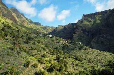 Çevresi Masca Köyü Tenerife, Kanarya Adaları, İspanya