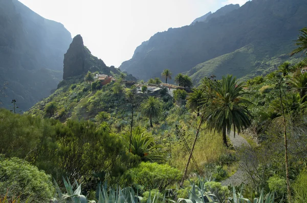 Çevresi Masca Köyü Tenerife, Kanarya Adaları, İspanya — Stok fotoğraf