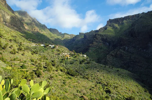 Umgebung des Masca-Dorfes auf Teneriffa, Kanarische Inseln, Spanien — Stockfoto