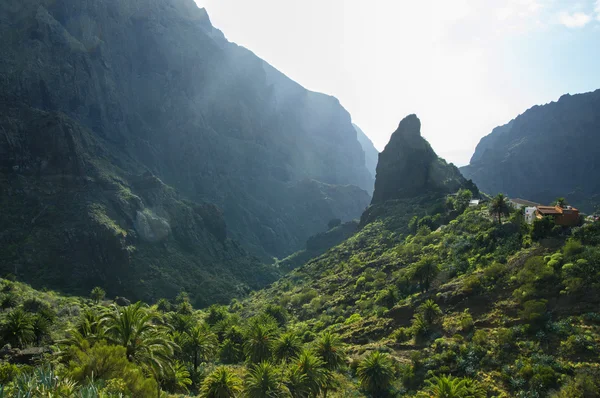 Çevresi Masca Köyü Tenerife, Kanarya Adaları, İspanya — Stok fotoğraf