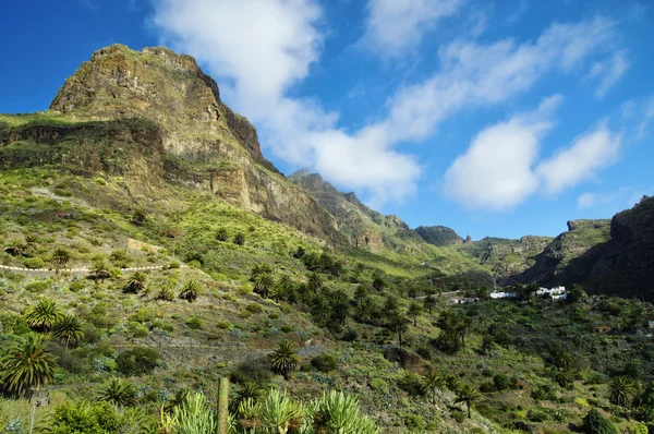 Environs de Masca Village à Tenerife, Îles Canaries, Espagne — Photo