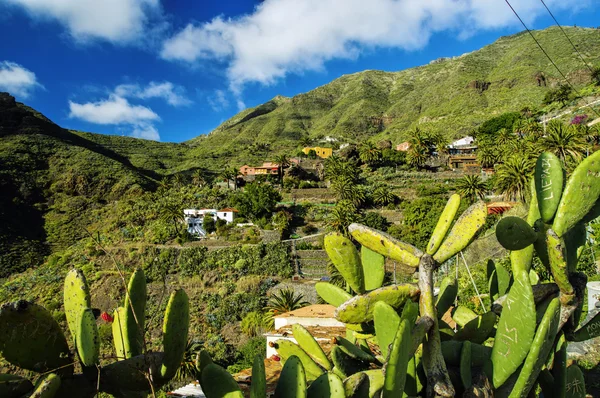 Umgebung des Masca-Dorfes auf Teneriffa, Kanarische Inseln, Spanien — Stockfoto