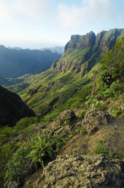 Surroundings of Masca Village in Tenerife, Canary Islands, Spain — Stock Photo, Image