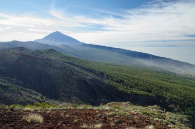 El Teide Ulusal Parkı, Tenerife, Kanarya Adaları, İspanya