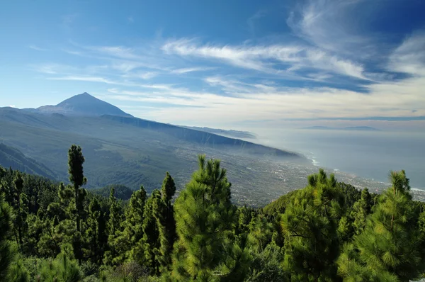 Nationaal park El Teide, Tenerife, Canarische Eilanden, Spanje — Stockfoto