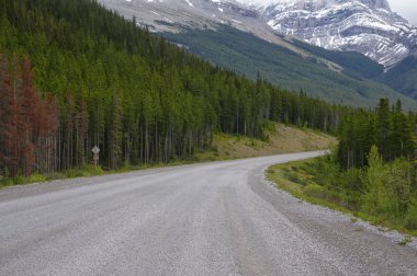 Smith Dorrien sprey iz KANANASKIS, Batı Kanada içinde