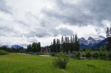 Canmore, Alberta, Kanada parkında iz