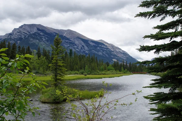 Um lago perto do parque Canmore é uma das cidades mais famosas com Montanhas Rochosas Canadenses. Canadá — Fotografia de Stock