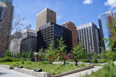 Calgary, Kanada - 26 Mayıs: Calgary, Alberta Kanada 26 Mayıs 2016 üzerinde alınan Downtown Modern görünüm.