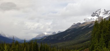 Icefield Parkway Jasper National Park, Alberta, Kanada