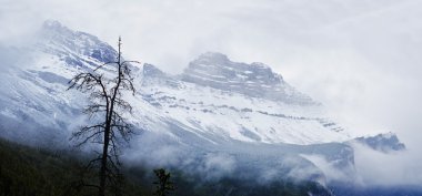 Icefield Parkway Jasper National Park, Alberta, Kanada