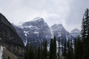 Icefield Parkway Jasper National Park, Alberta, Kanada