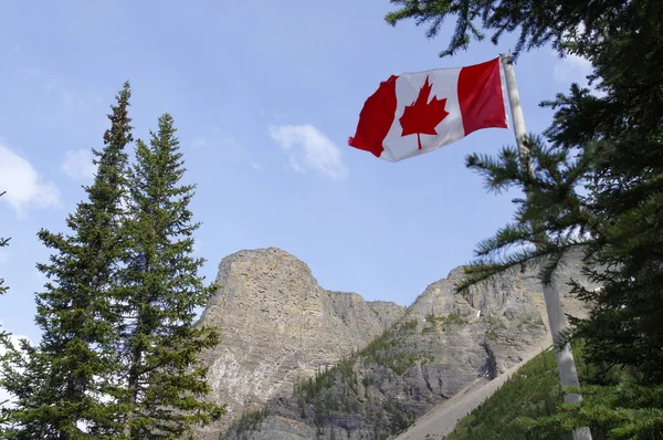 Szczytu Icefields Parkway w regionie Park Narodowy Jasper, Alberta, Kanada — Zdjęcie stockowe