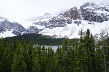 Icefield Parkway Jasper National Park, Alberta, Kanada