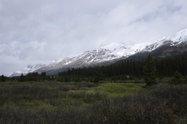 Icefield Parkway Jasper National Park, Alberta, Kanada