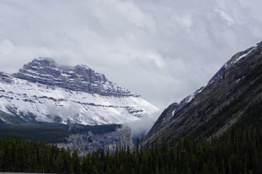 Icefield Parkway Jasper National Park, Alberta, Kanada