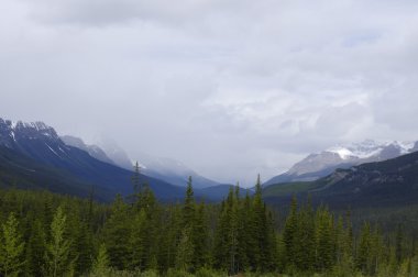 Icefield Parkway Jasper National Park, Alberta, Kanada