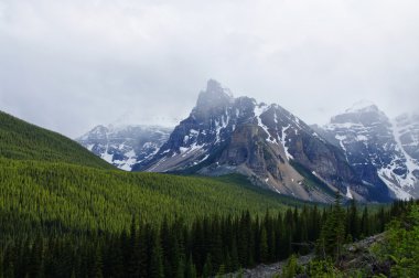 Icefield Parkway Jasper National Park, Alberta, Kanada