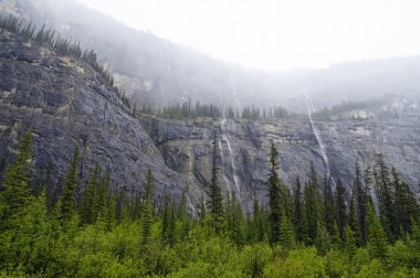 Icefield Parkway Jasper National Park, Alberta, Kanada